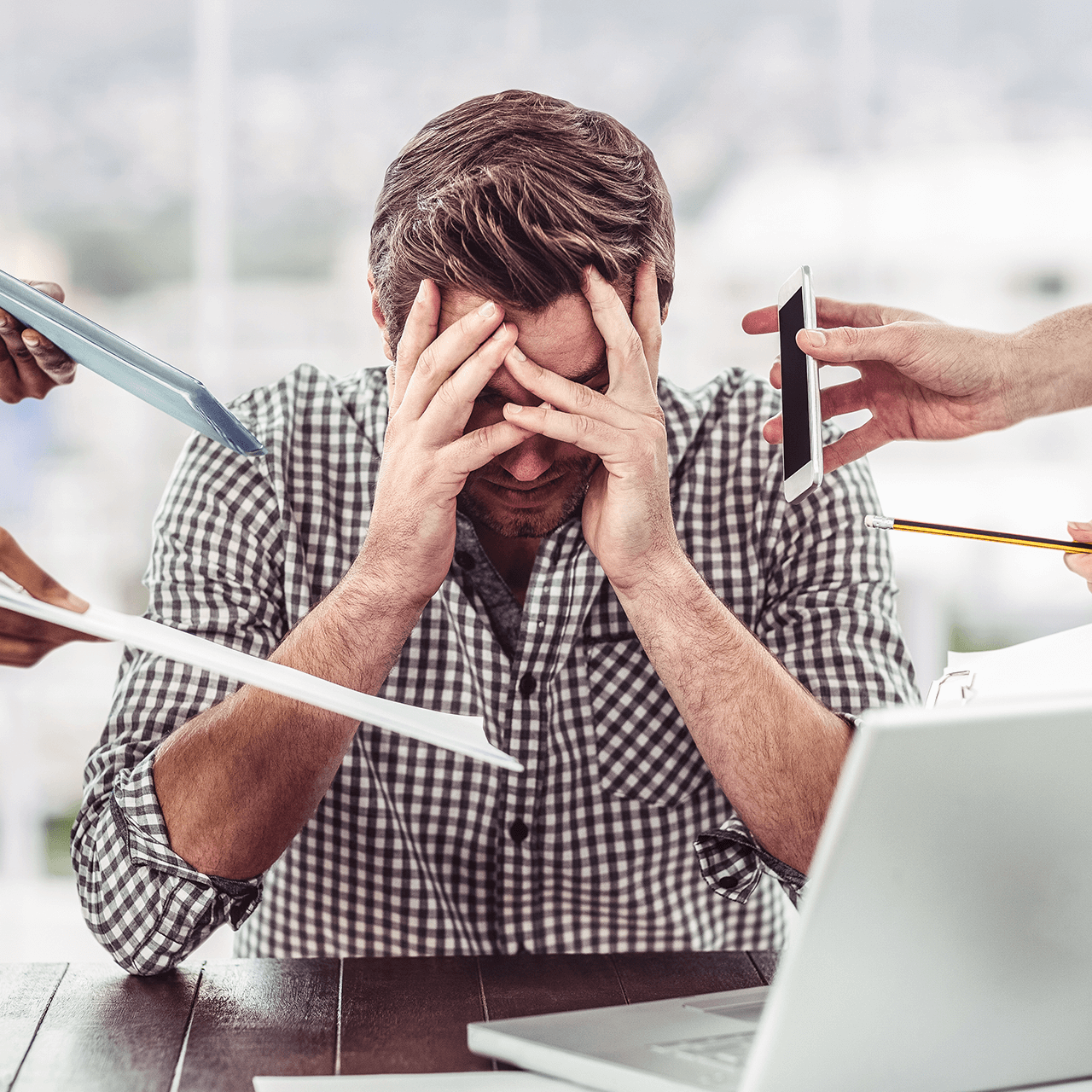 Online-Seminar - Vom Stress zur Entspannung - Dr. Birgit Greiner