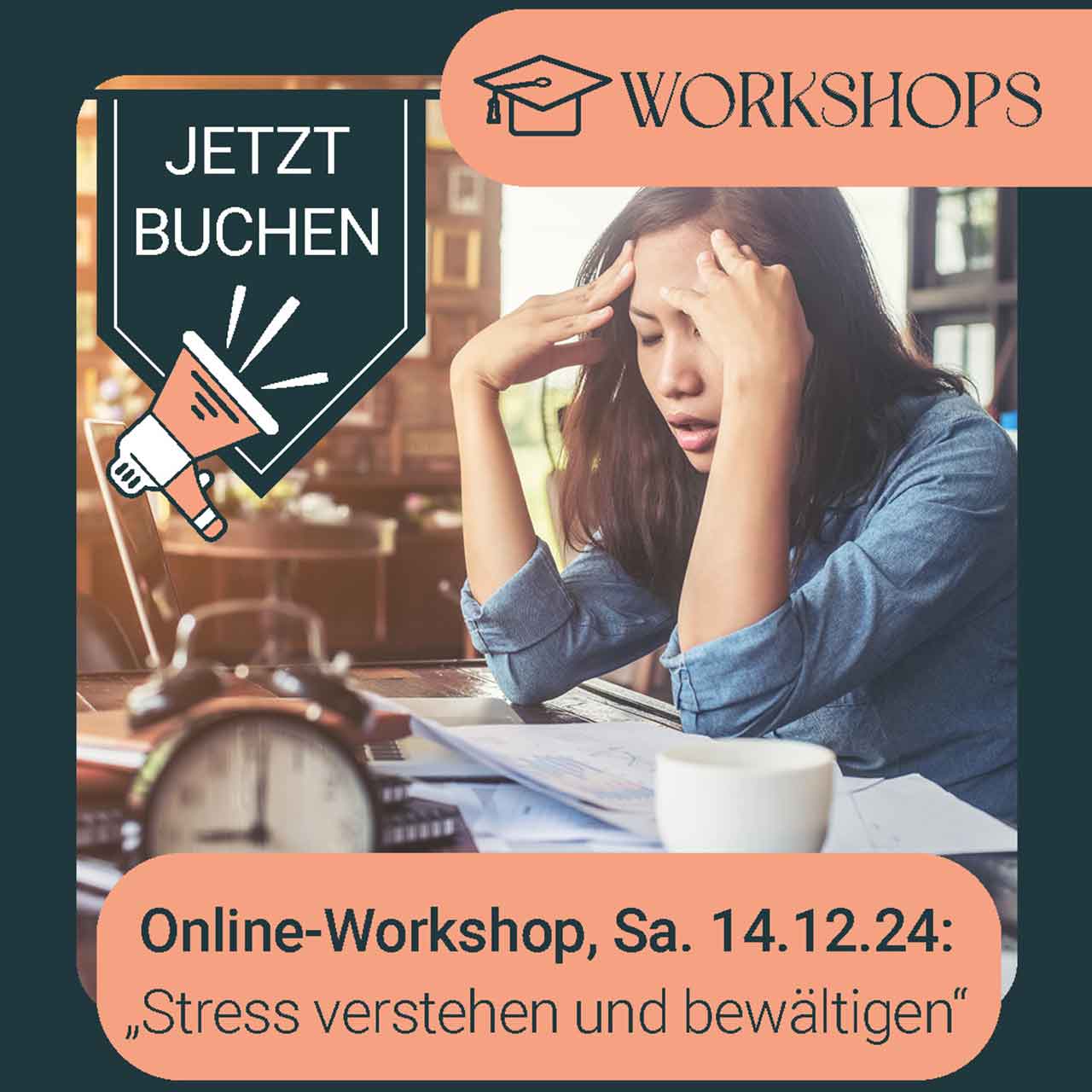 Online-Workshop Stress verstehen und bewältigen - Dr. Birgit Greiner