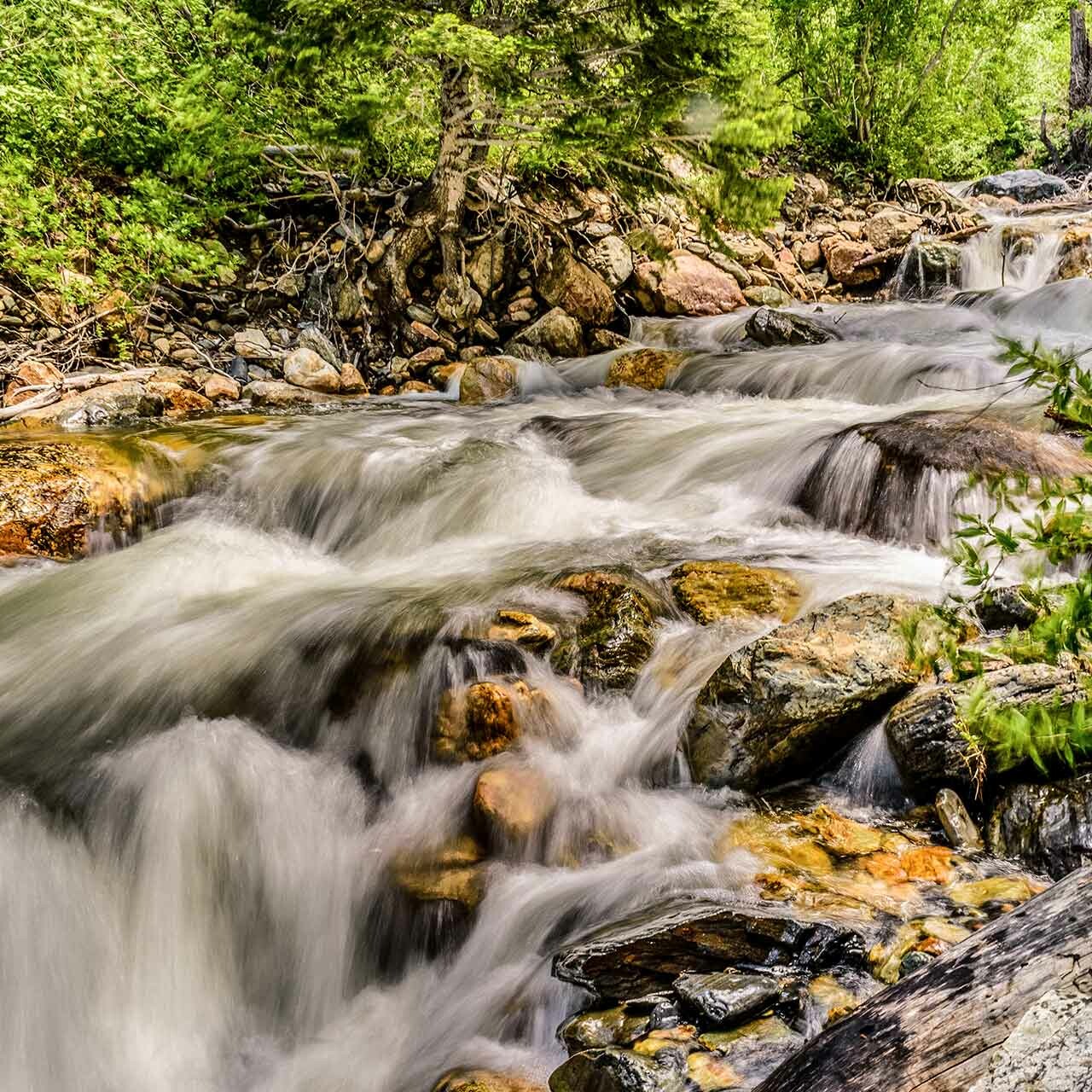 Im Fluss des Lebens: Wu Wei und Human Design im Alltag verbinden - Dr. Birgit Greiner