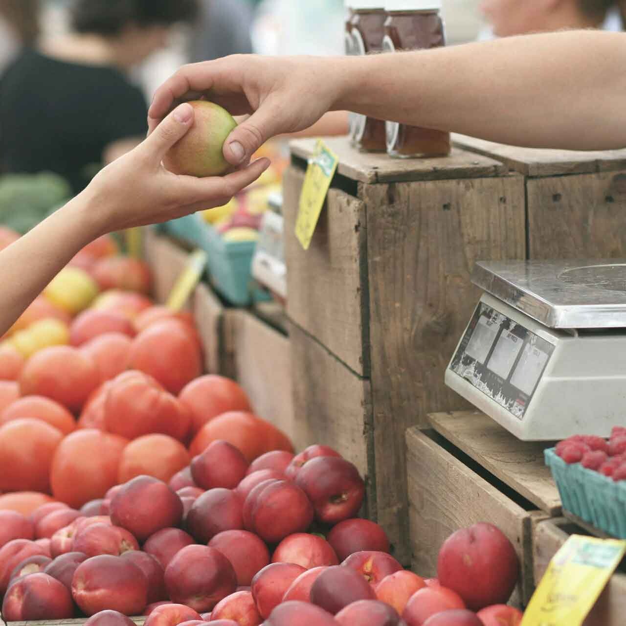 Ernährung und PHS im Human Design - Dr. Birgit Greiner