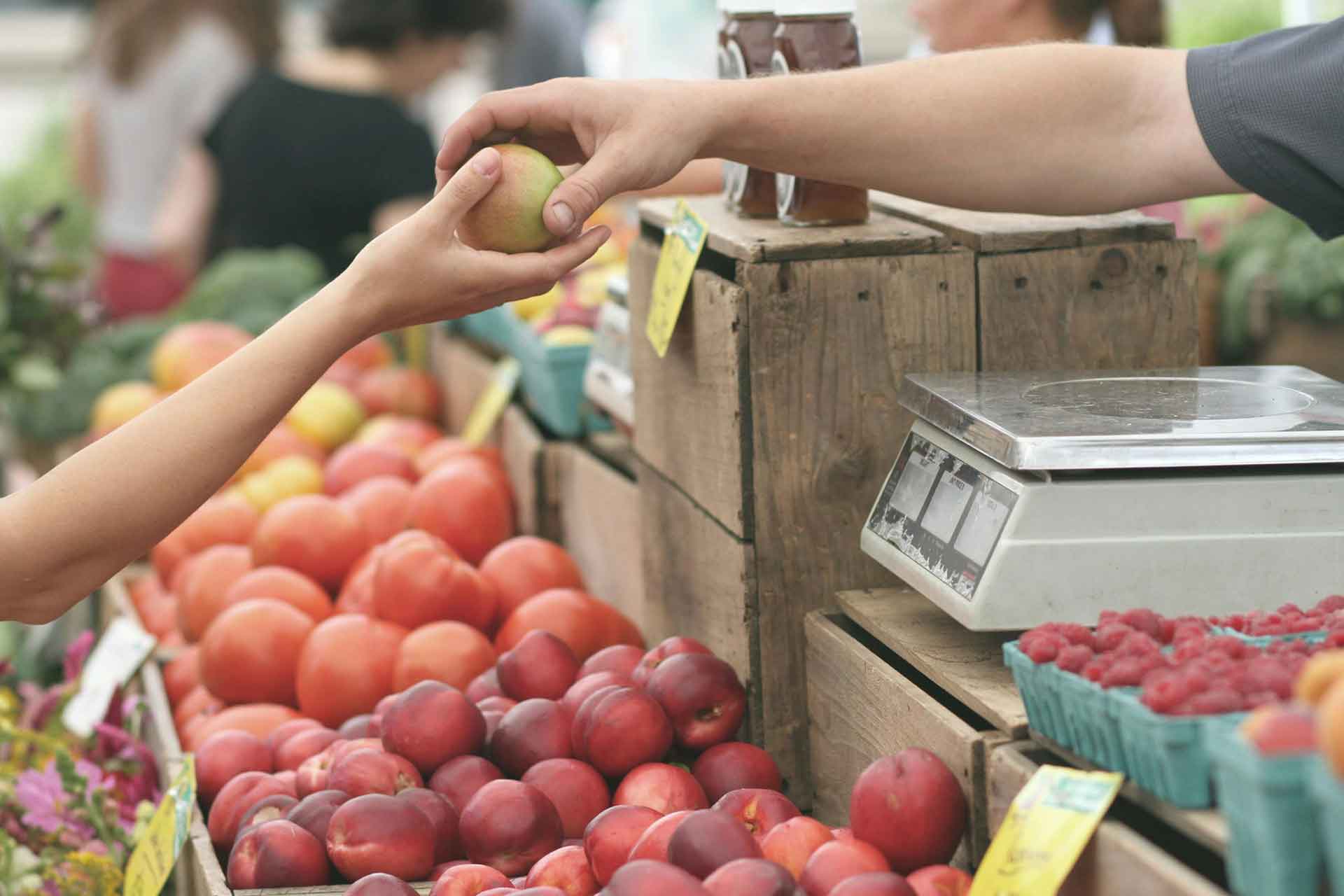 Ernährung und PHS im Human Design - Dr. Birgit Greiner