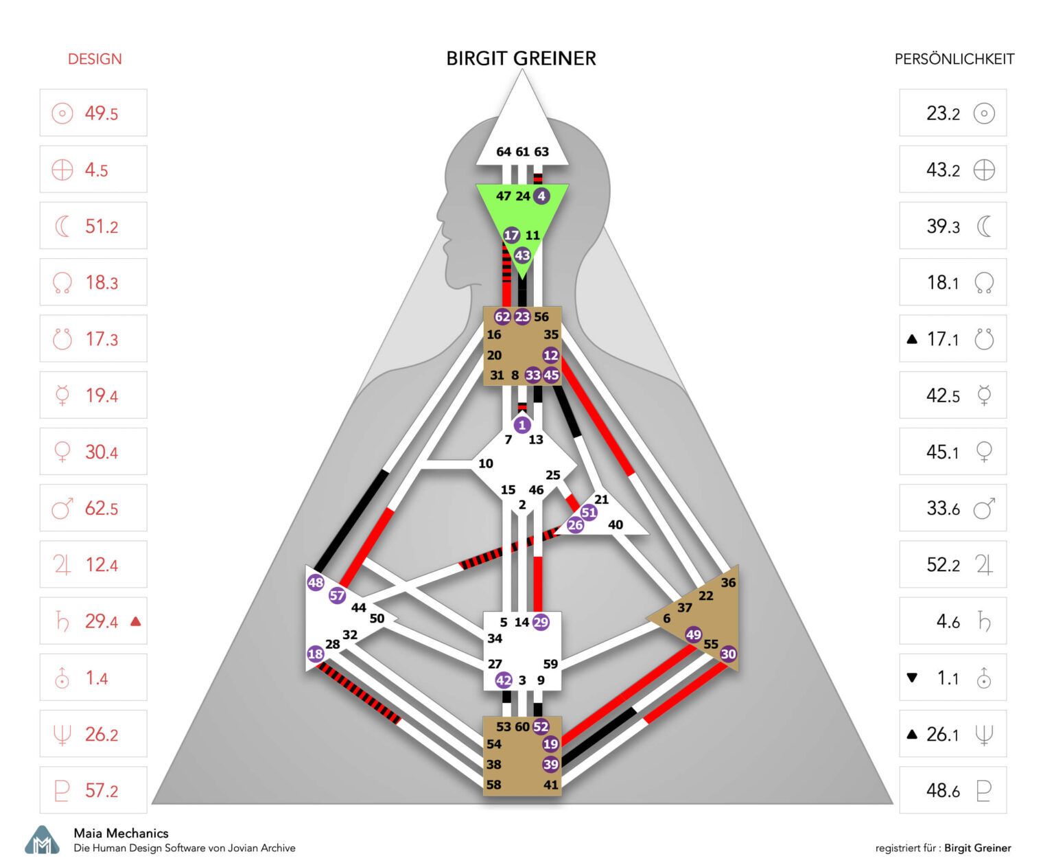 Körpergrafik von Dr. Birgit Greiner, Emotionale Projektorin mit Profil 2/5